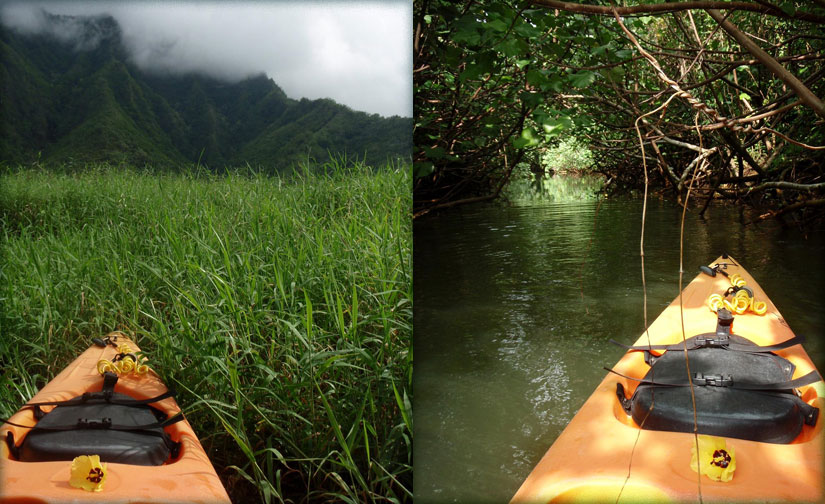 kayaking: kahana bay & stream