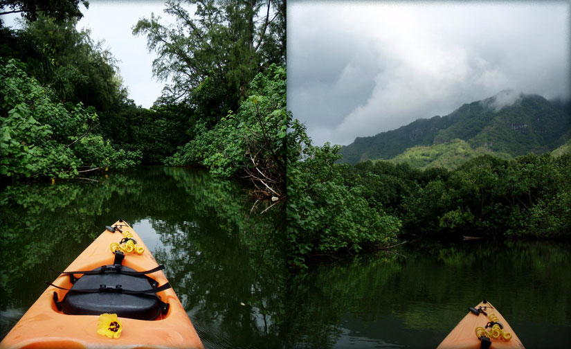 kayaking: kahana bay & stream