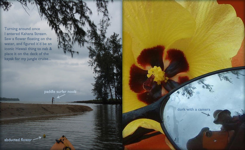 kayaking: kahana bay & stream