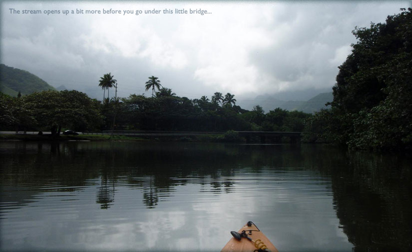 kayaking: kahana bay & stream