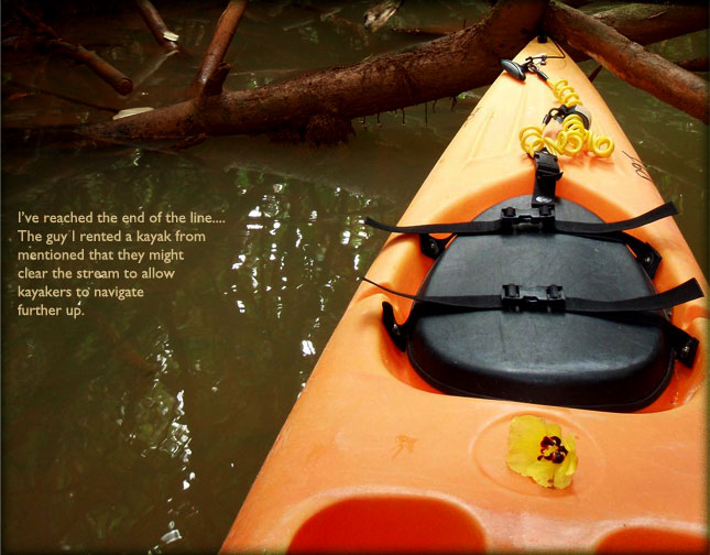 kayaking: kahana bay & stream