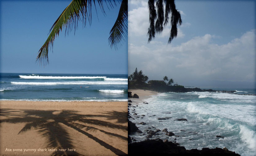 north shore beaches